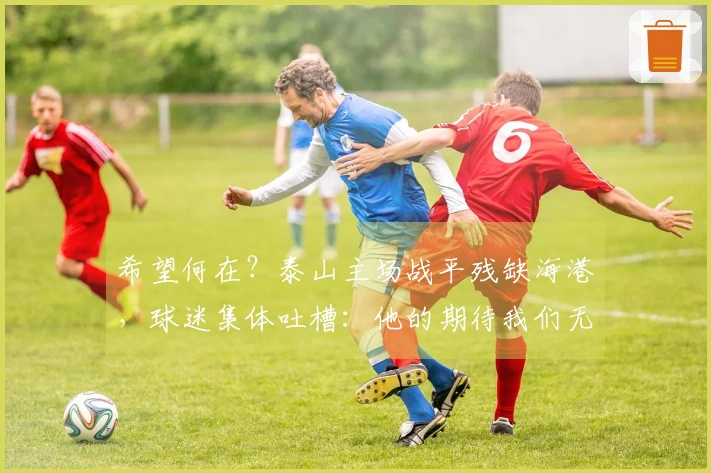 希望何在？泰山主场战平残缺海港，球迷集体吐槽：他的期待我们无法理解