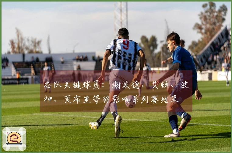 各队关键球员：谢泼德、艾顿、波神、莫布里等将影响系列赛结果