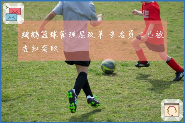 鹈鹕篮球管理层改革 多名员工已被告知离职